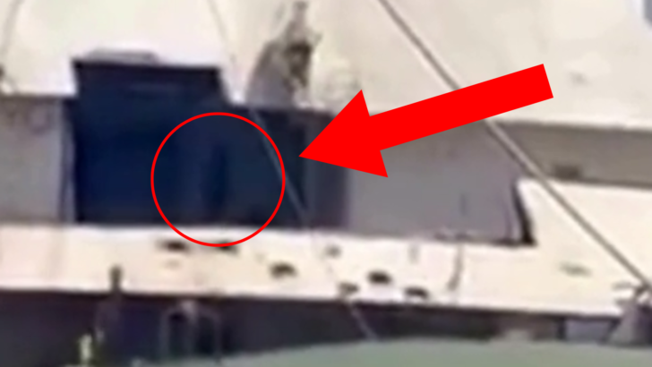 Shadow on the Abandoned Cruise Ship