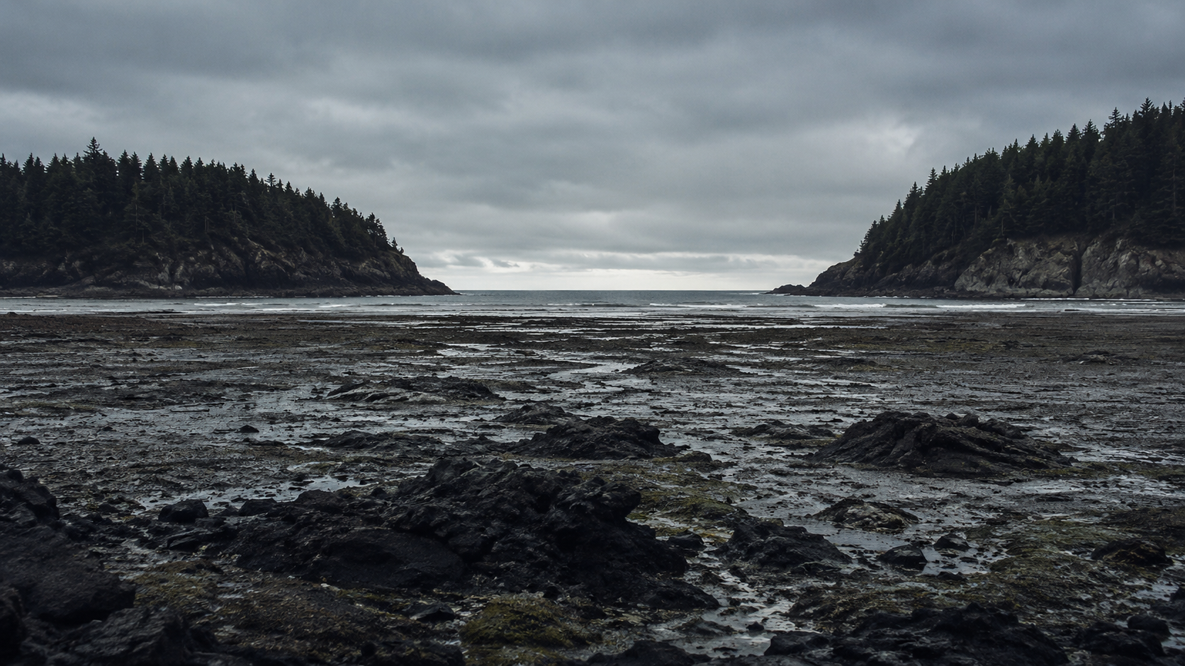 Empty coast at low tide