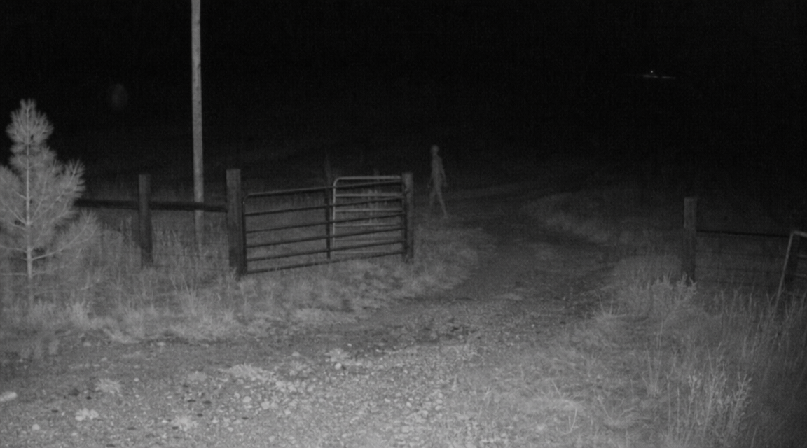 Grainy ranch security view showing a thin ambiguous upright figure near a gate