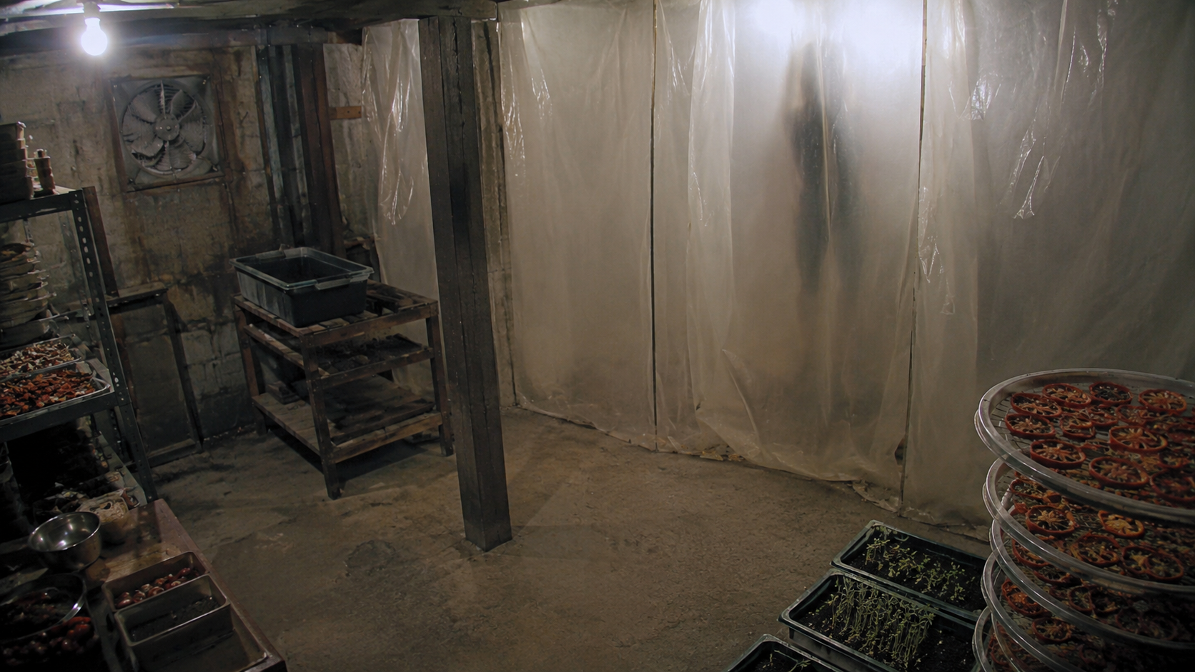 Raven Creek Seed Library Basement Photo Shows Visitor Shape Behind Drying Curtains evidence image 2