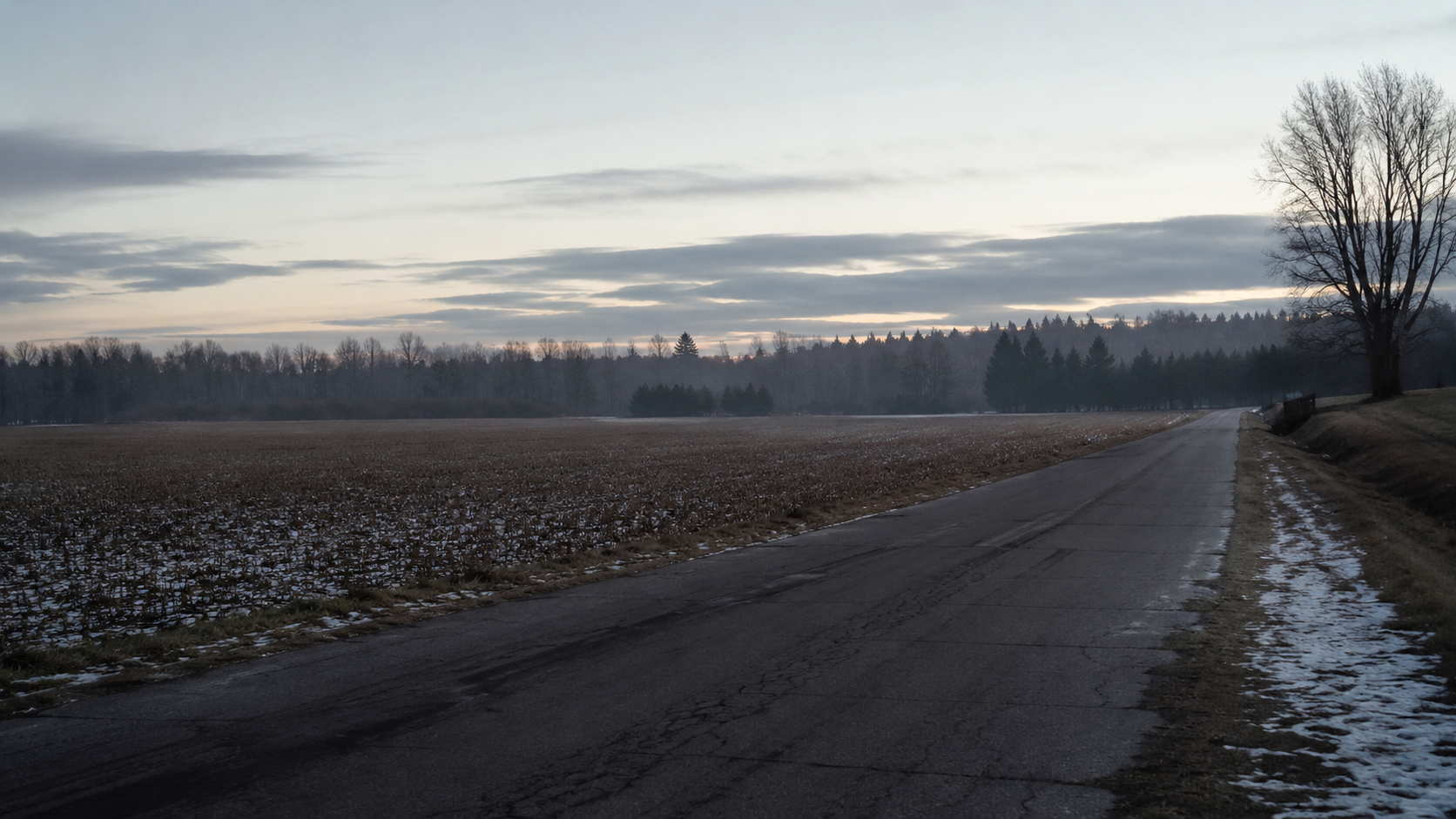 A quiet rural road under a pale morning sky, with fields on either side.