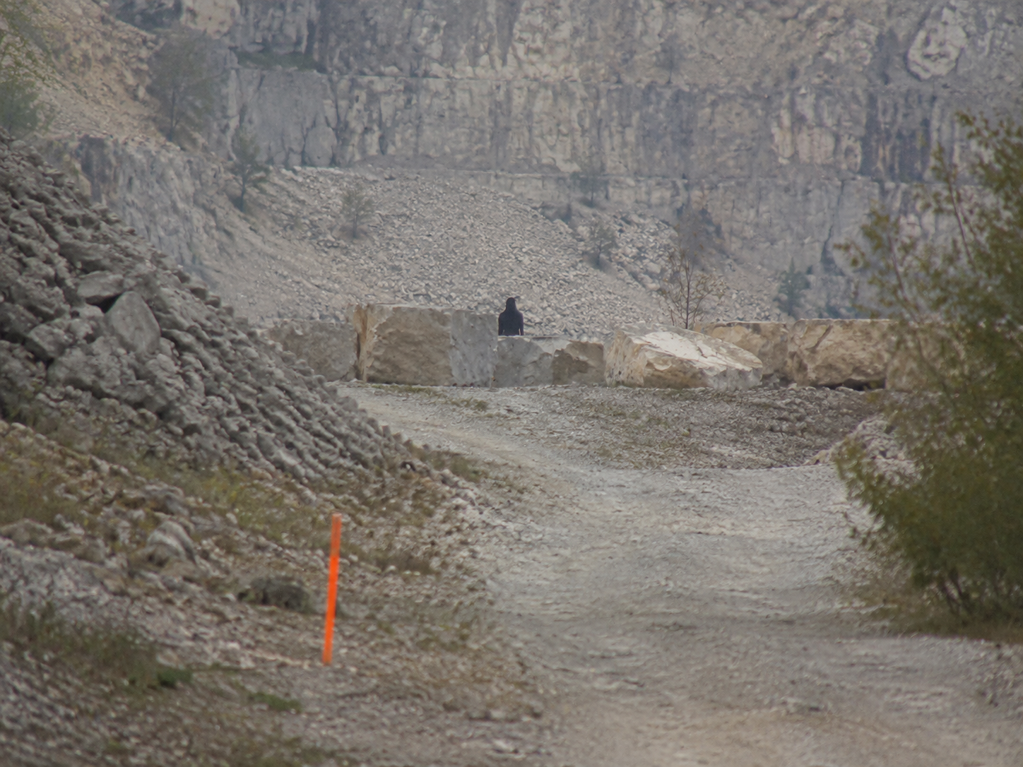 Distant dark upright shape behind limestone blocks on a quarry road