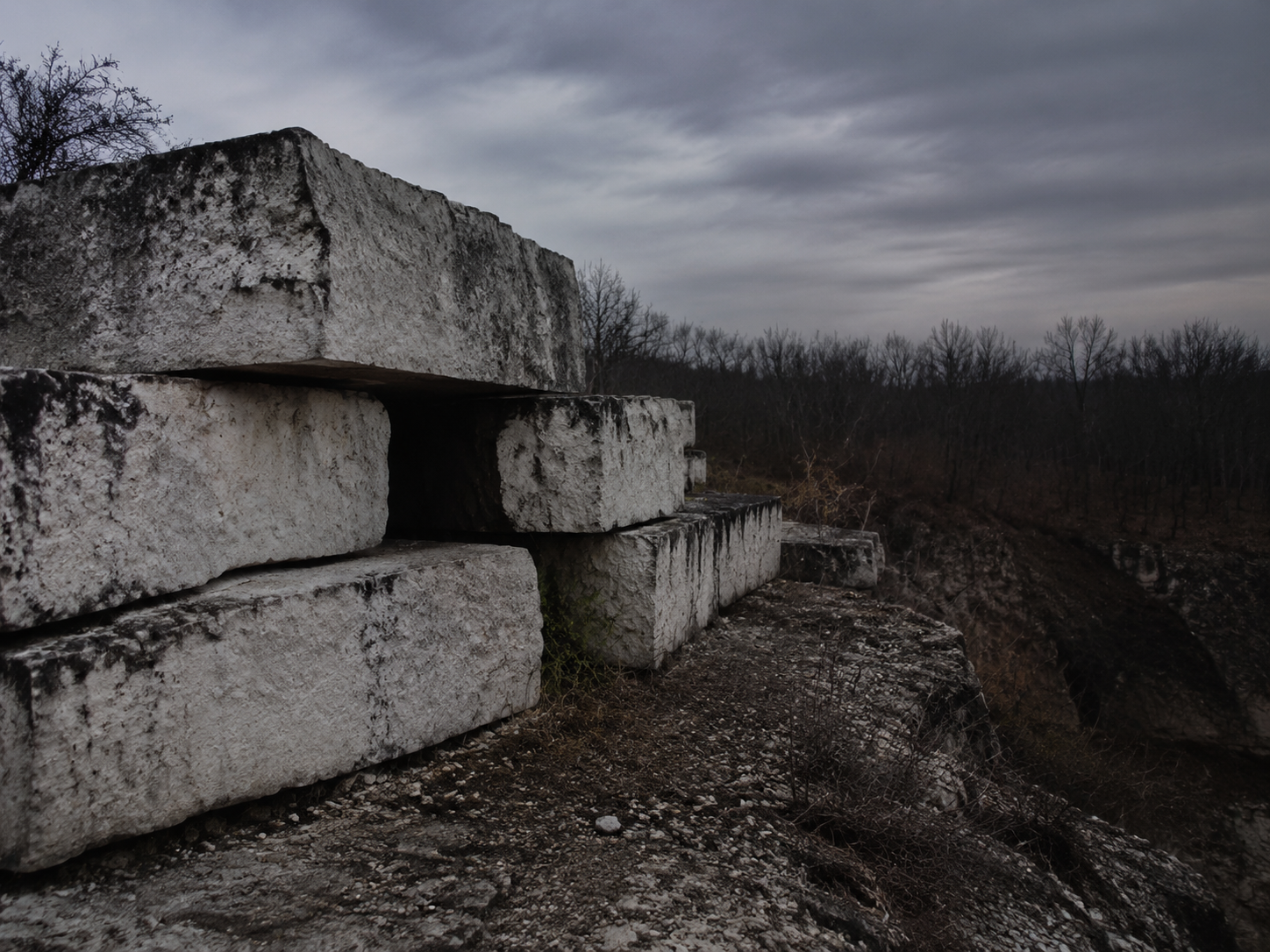 Stacked limestone blocks near a dark tree line at an abandoned quarry