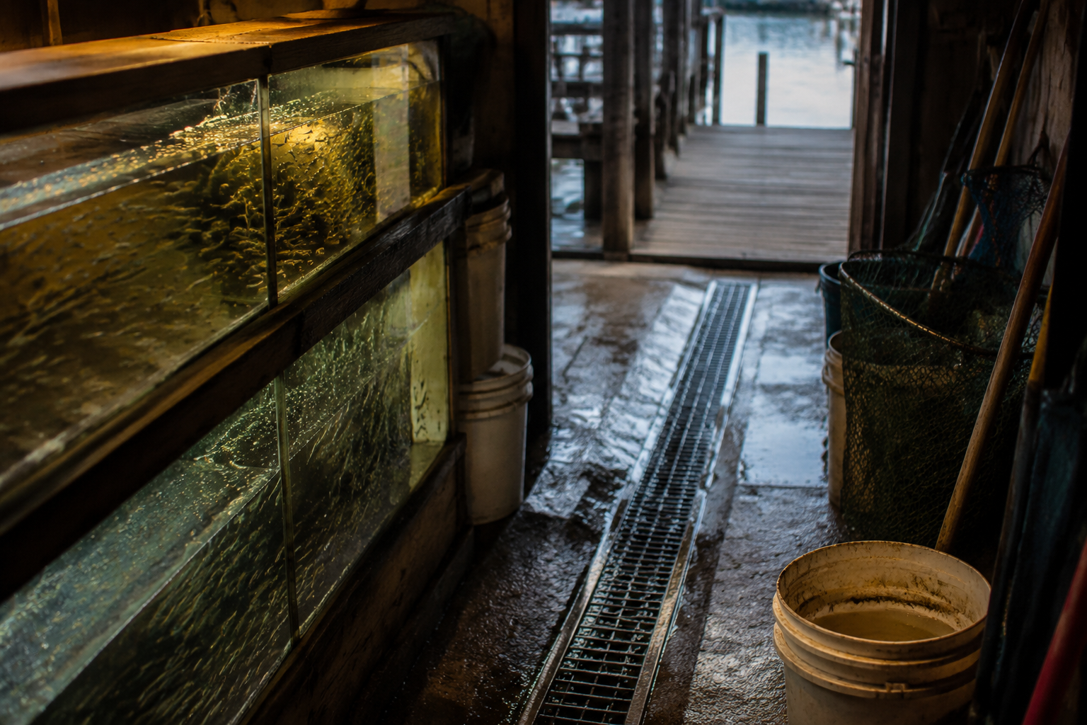 Minnow tank drain channel near dock