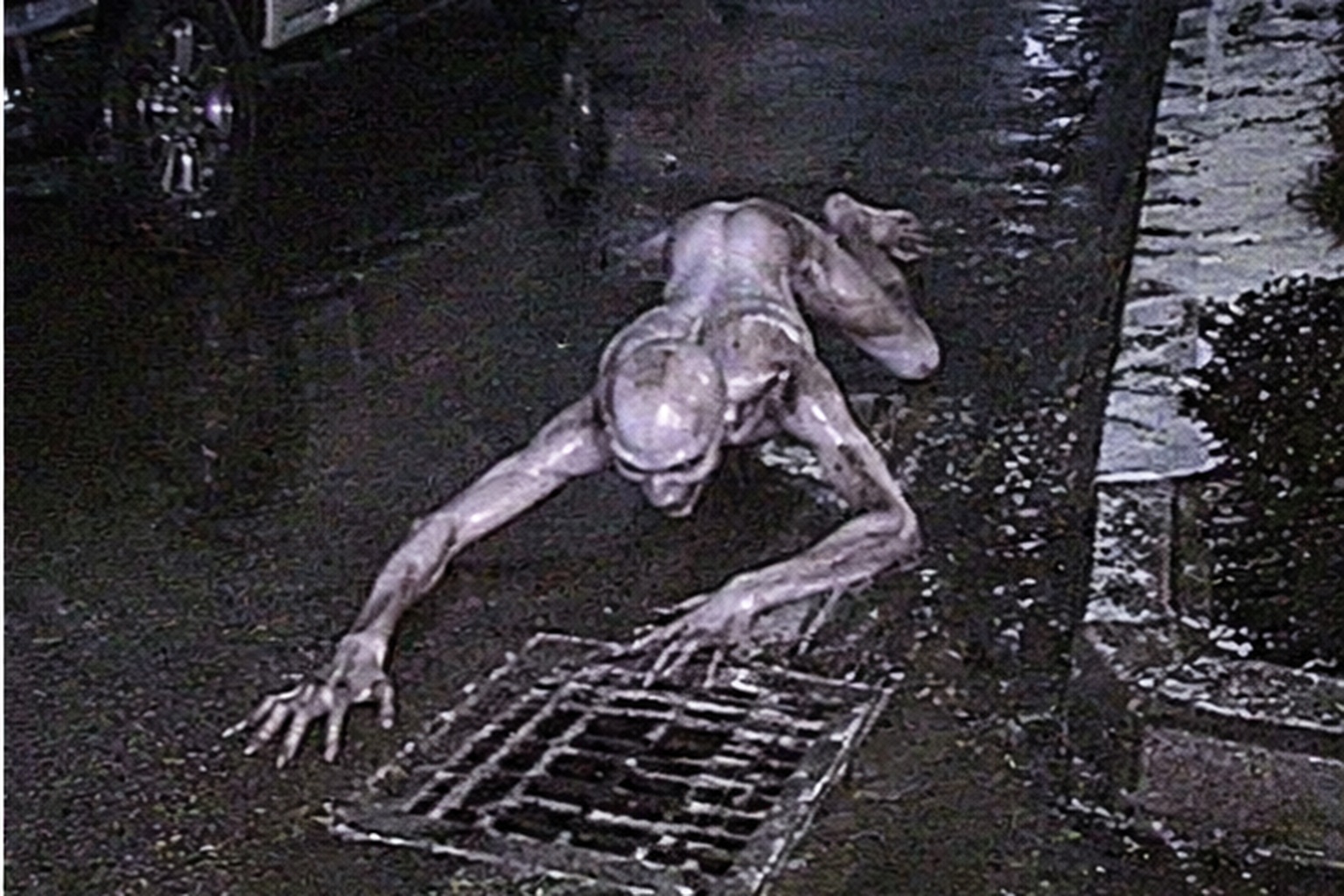 The pale thing did not look like a stray dog, a coyote, or any normal animal crossing wet asphalt.
