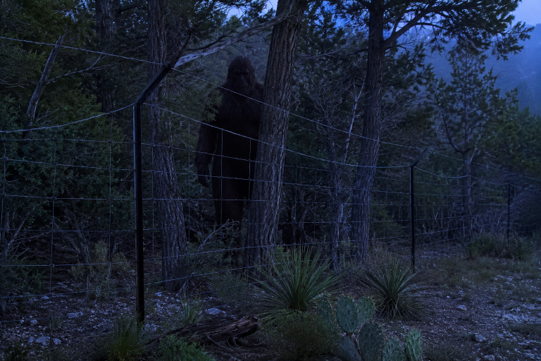 Remote Cedar Ridge game fence with upper wire bent outward and a massive dark hairy figure partly hidden between cedar trunks.