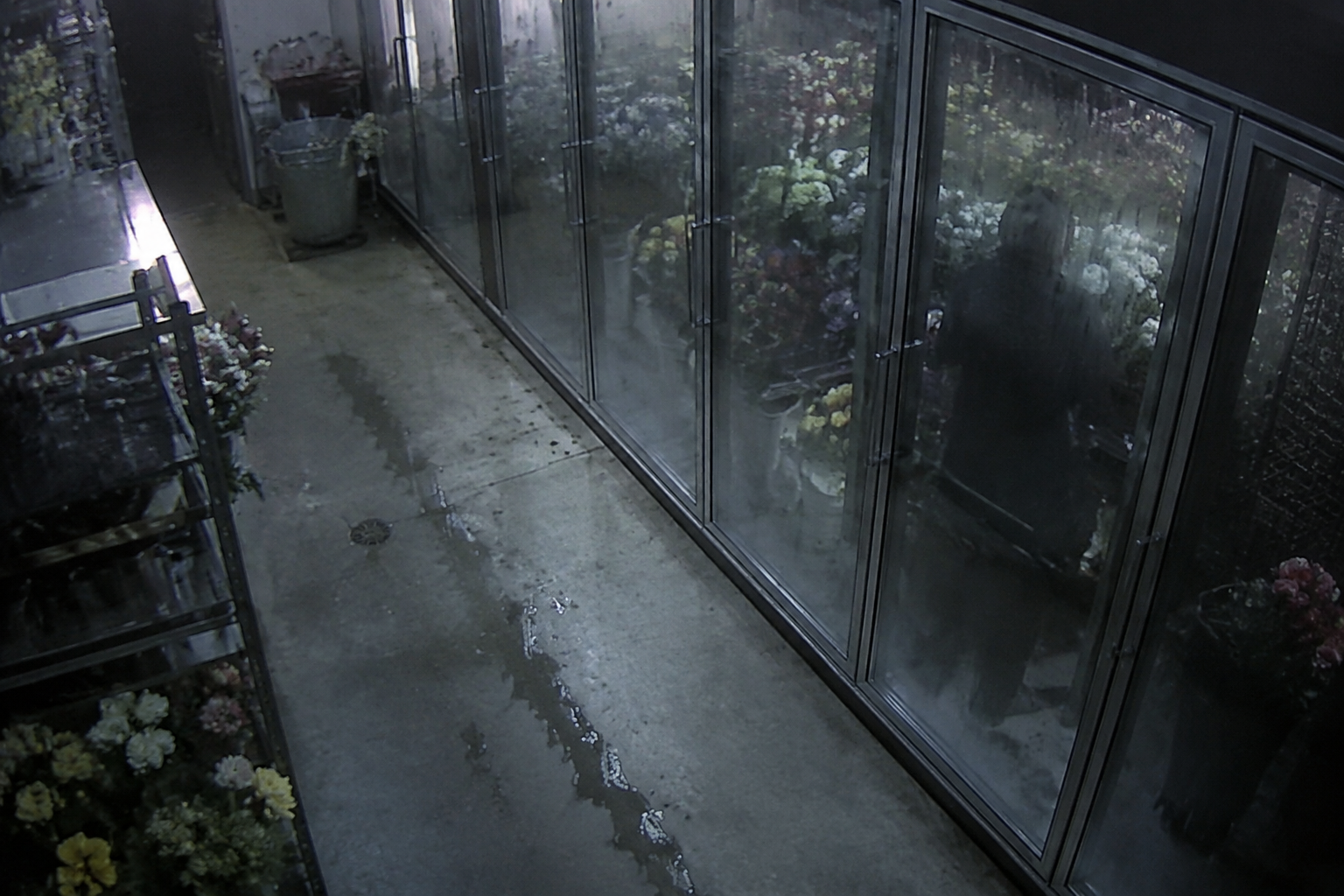 Security camera view of florist cooler glass with a faint reflected figure
