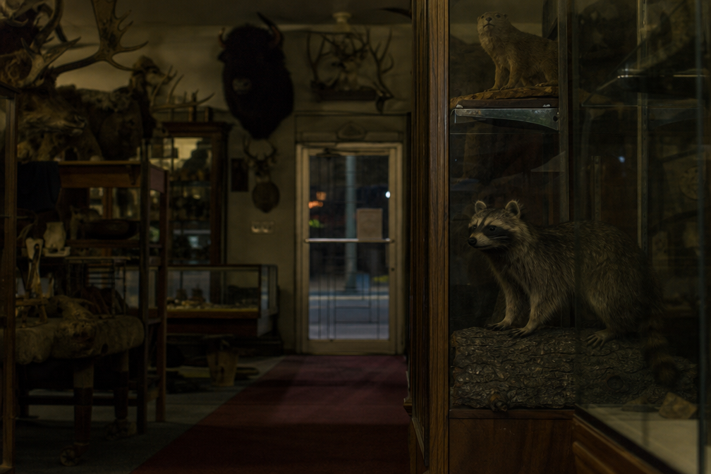 Empty taxidermy aisle facing locked door