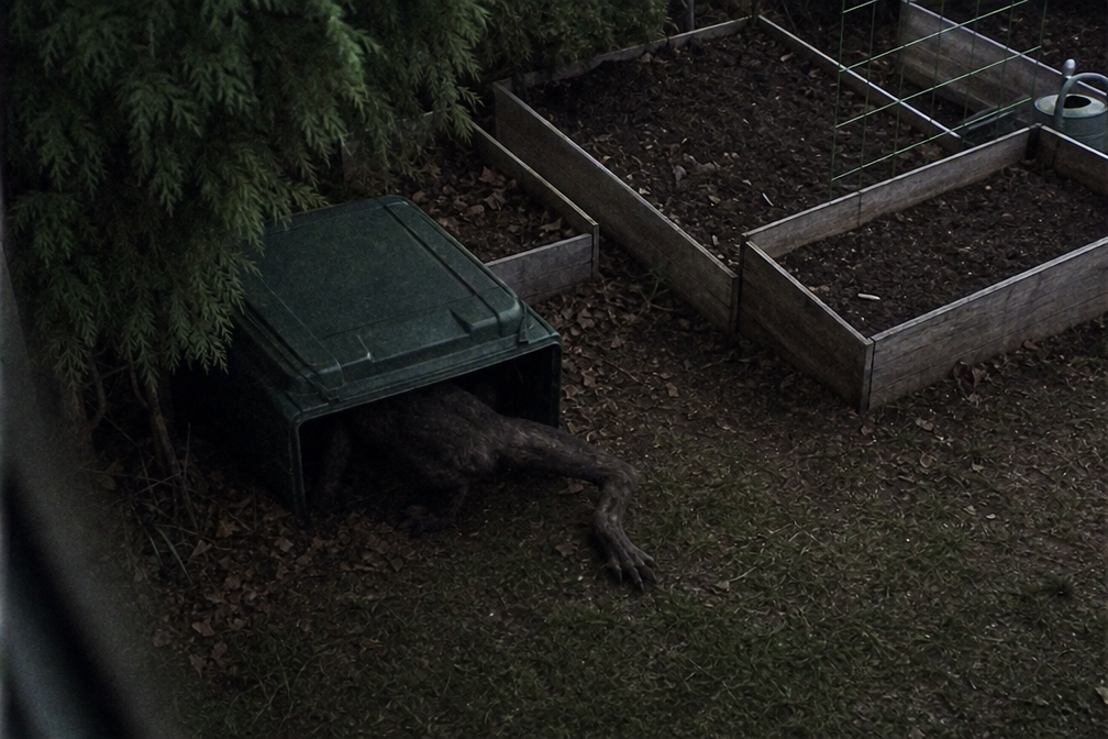 A low dark shape is partly visible under a compost bin near raised garden beds.