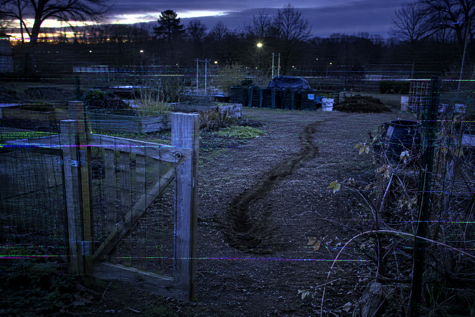 A glitched gate camera frame shows the garden path and compost bins before dawn.