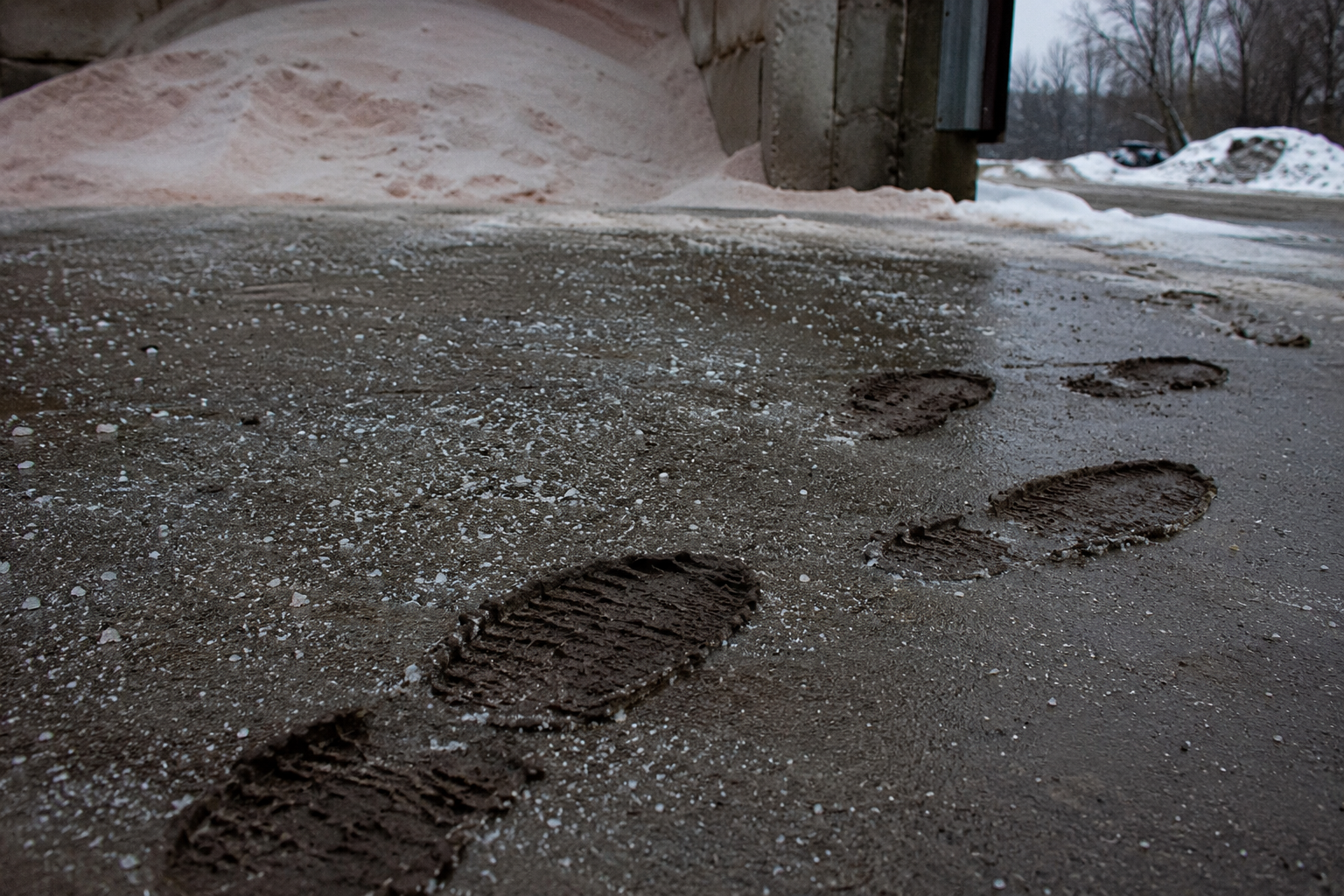 Muddy prints crossing salted pavement