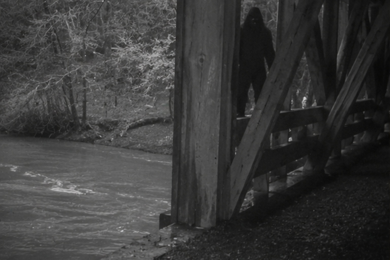 In the same frame, a solid dark upright shape filled the gap behind the bridge timbers.