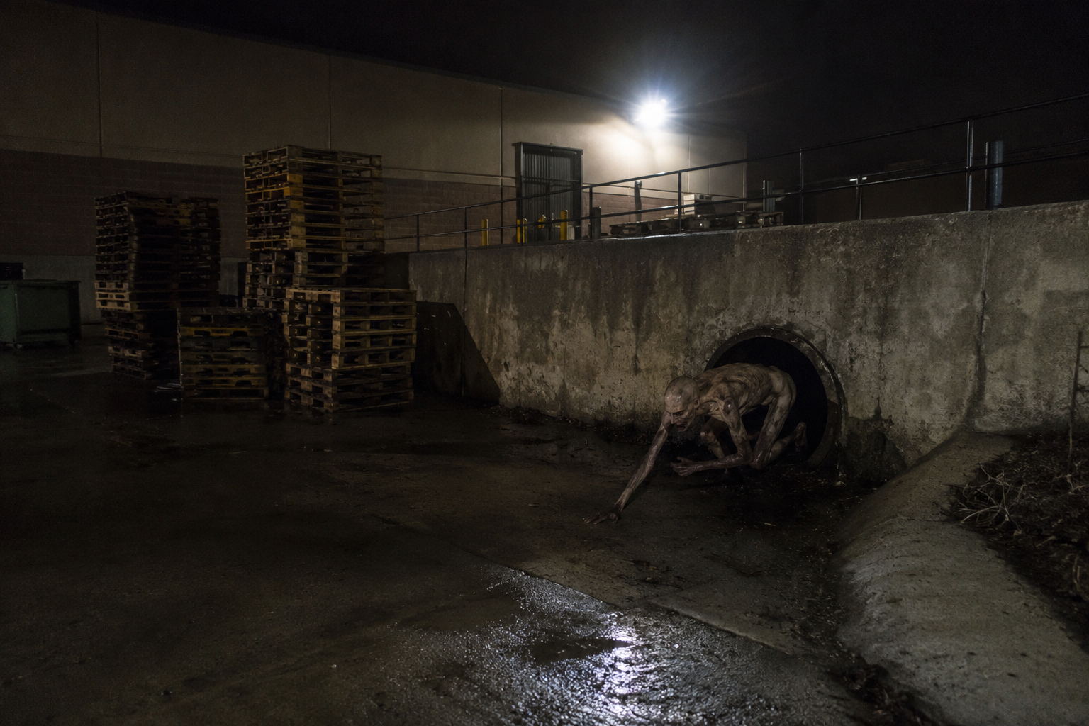 Supermarket loading dock camera view of a gaunt patchy stick-limbed creature crawling from a drainage culvert behind pallets.
