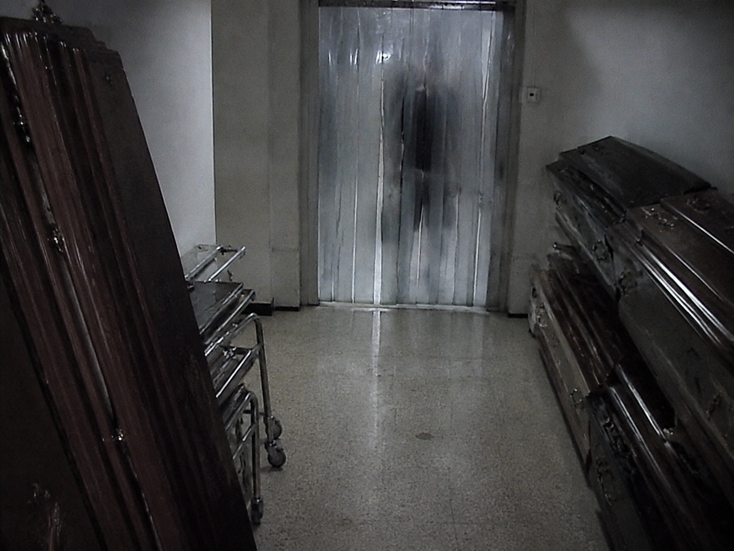 A dark figure appears behind plastic strips near the flower cooler.