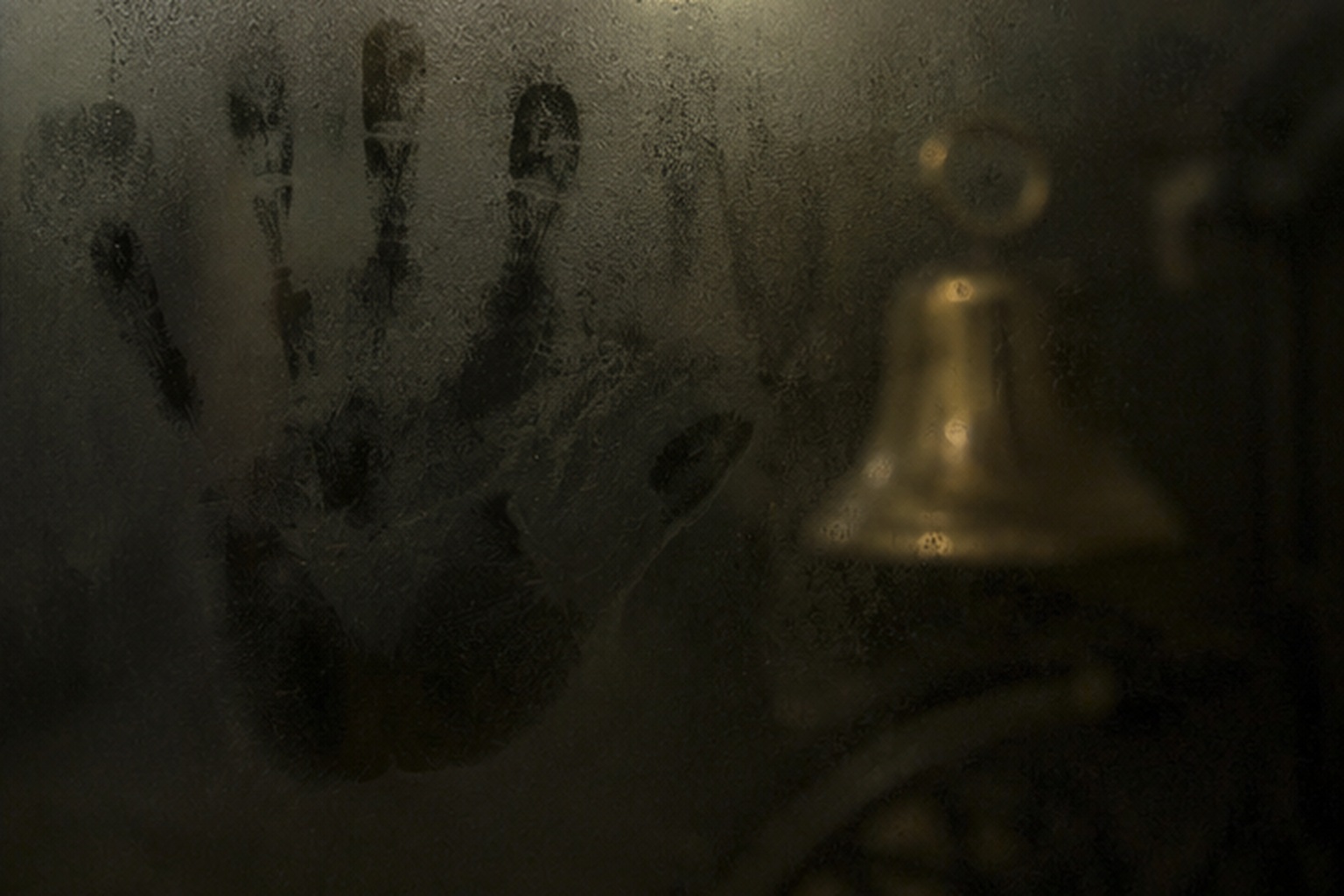 The hand mark was not on the visitor side of the case. It was fogged from within.