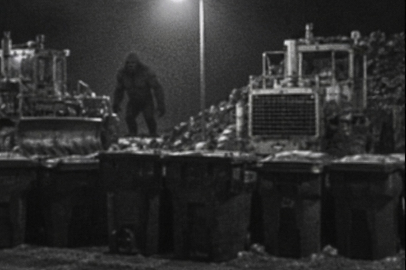 Upright dark shape behind landfill compactors