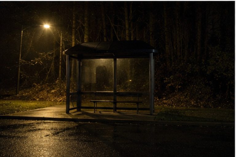 Rural bus shelter at night