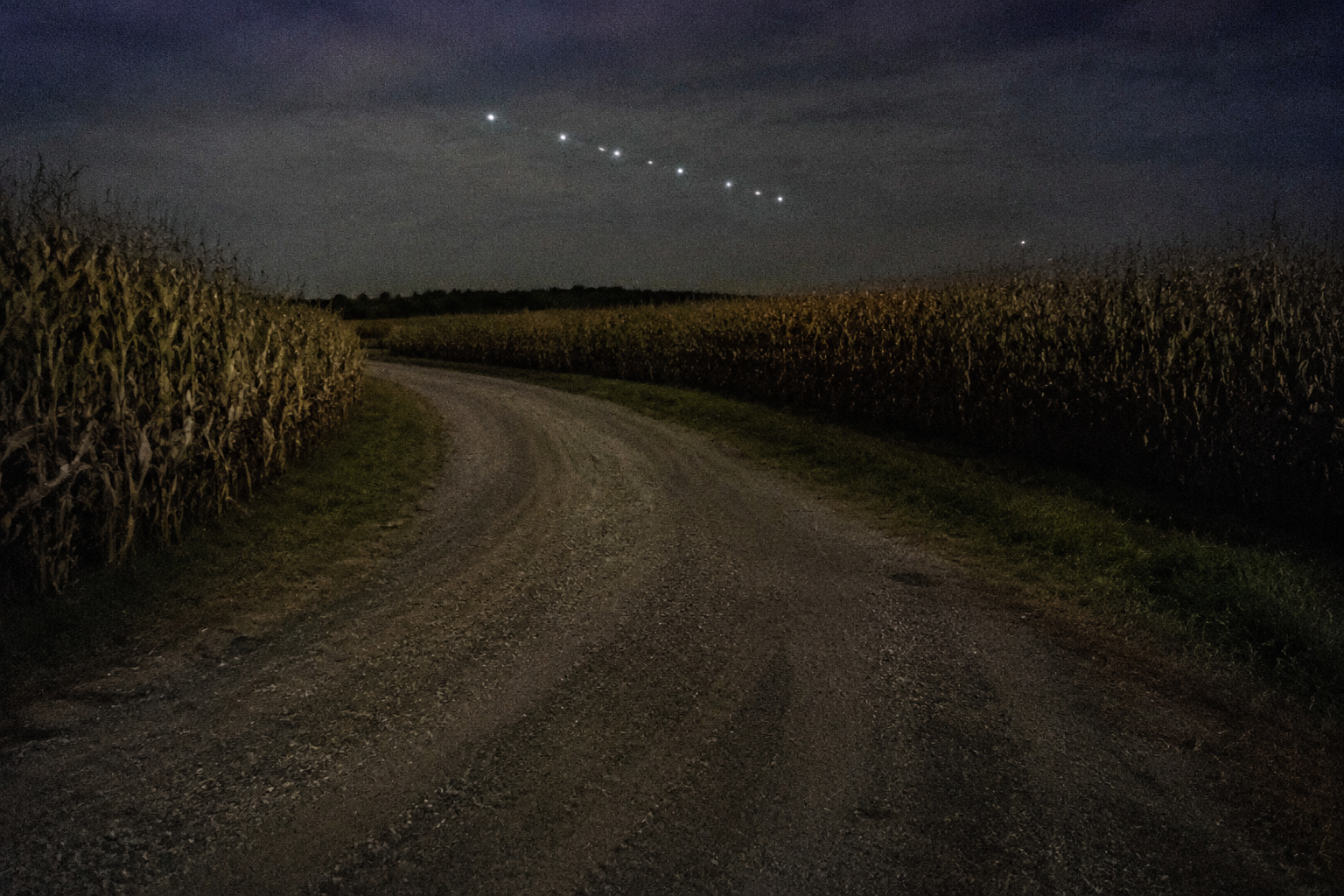 Distant lights over empty cornfield lane