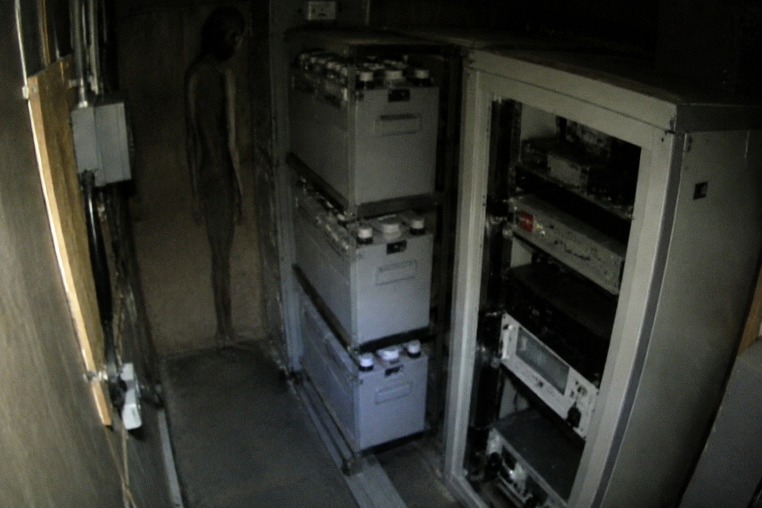 Thin visitor partly hidden behind battery cabinet