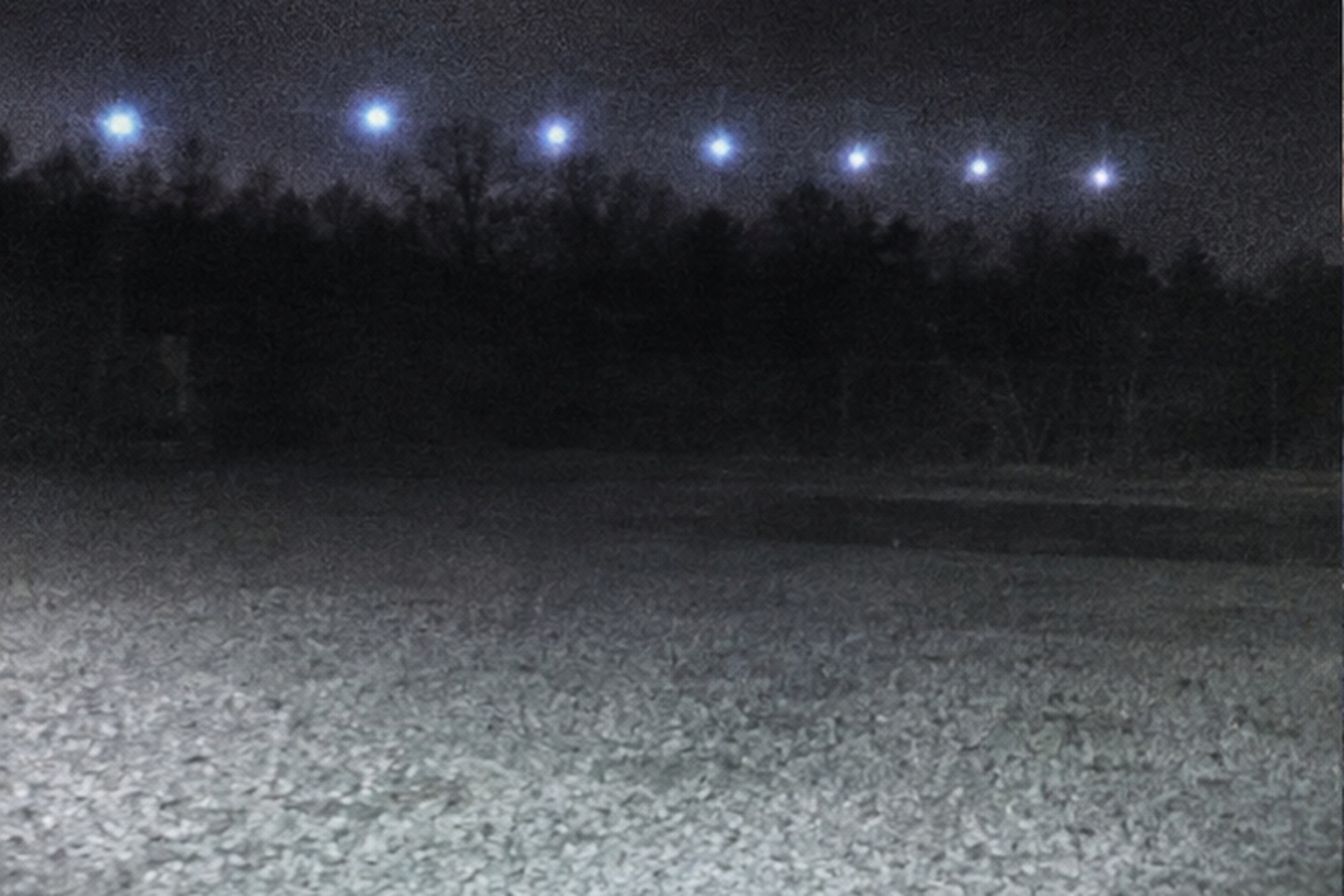 In the clearest frame, the lights formed a silent blue-white row above the tree line.