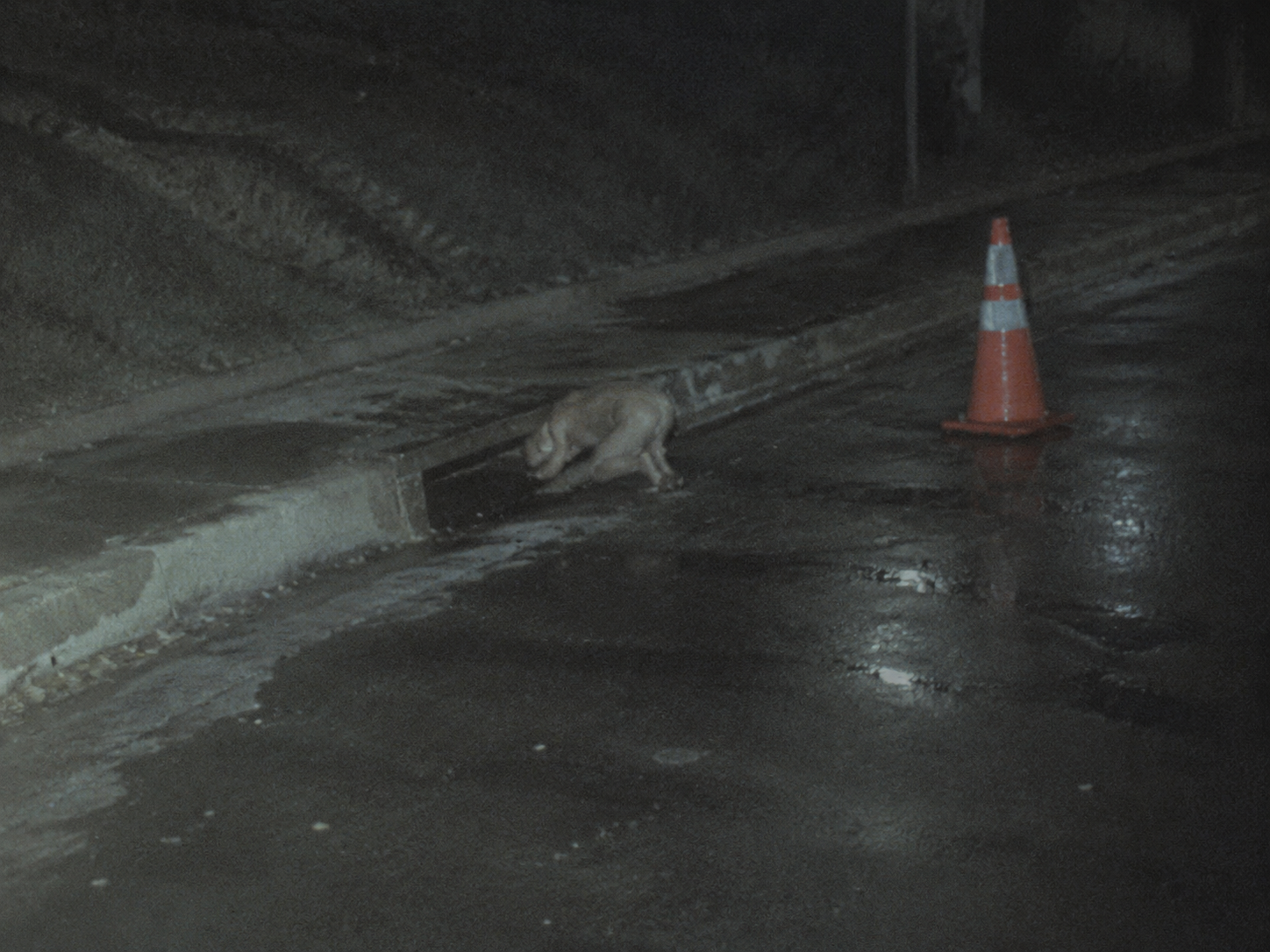 Low pale shape near storm drain