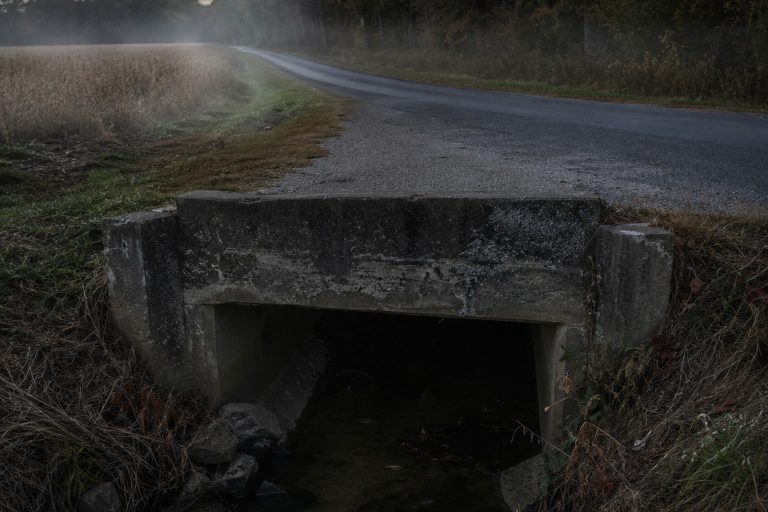 The Culvert Creature Locals Said Walked Like Broken Sticks