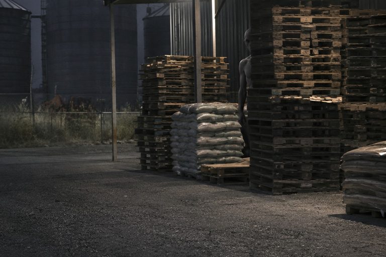 The Feed Store Back Lot Camera That Showed A Hairless Thing Behind The Pallets