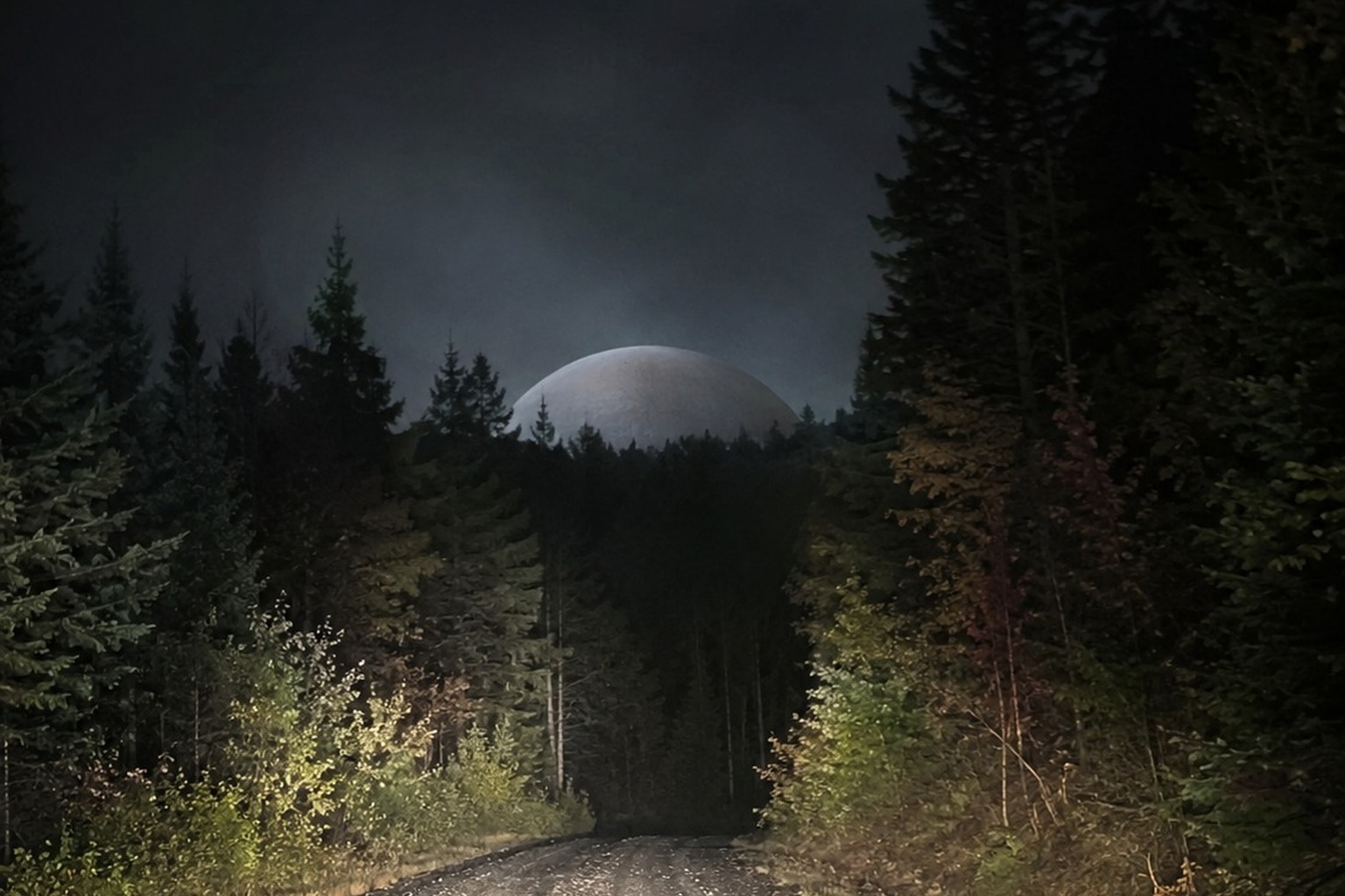 The Quarry Road Dashcam That Caught A Silent Saucer Behind The Tree Line reconstructed scene image 1