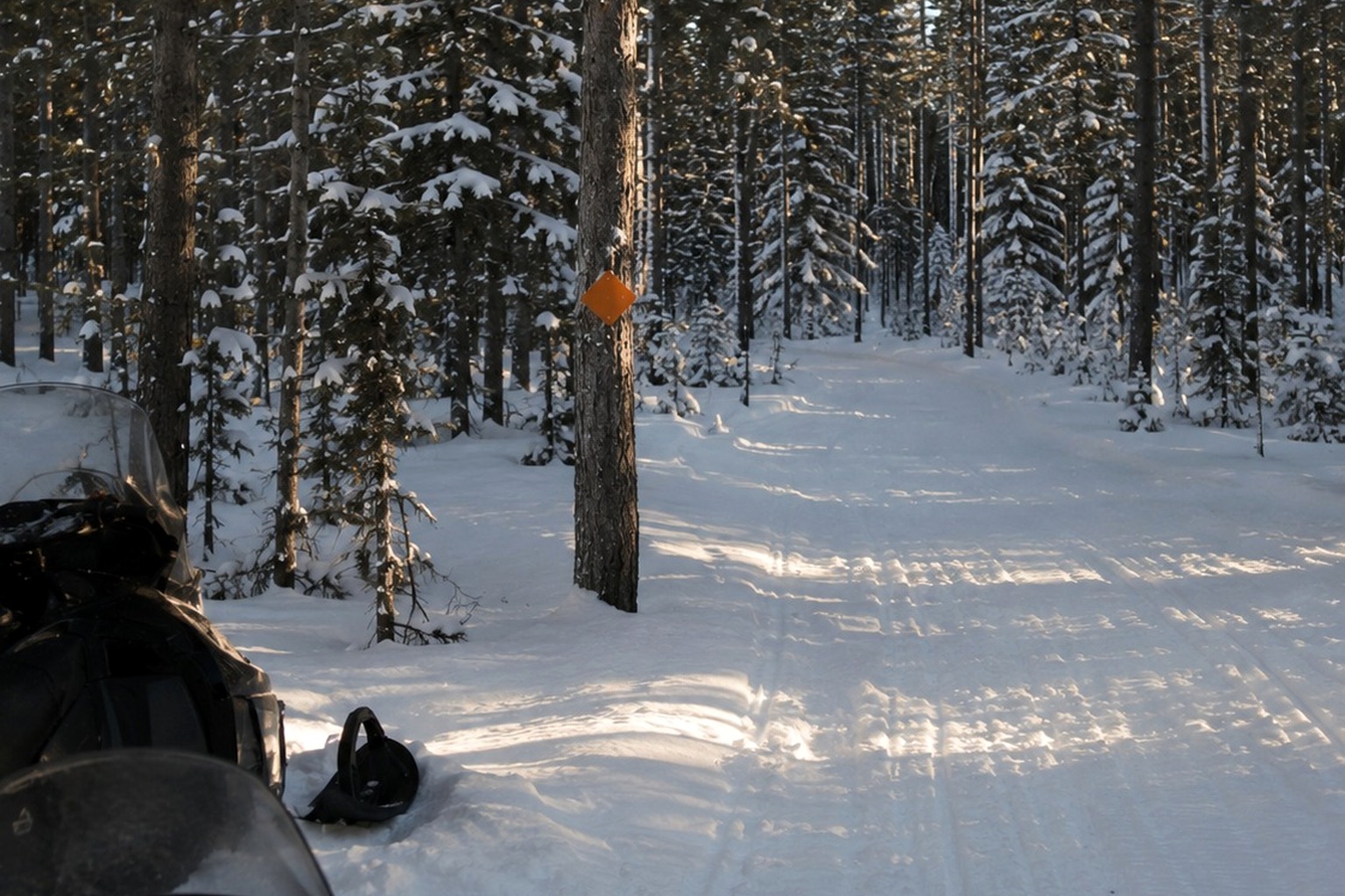 The Snowmobile Trail Marker Photo With A Tall Shape Beyond The Pines reconstructed scene image 2