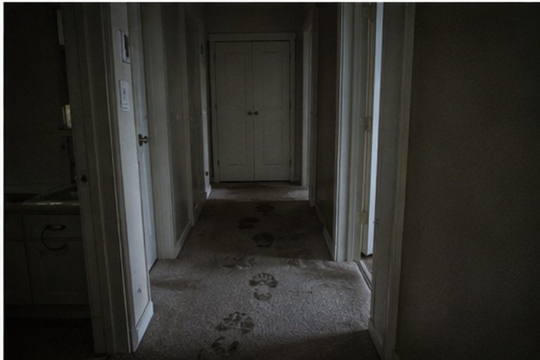 Quiet hallway with bathroom and closet doors