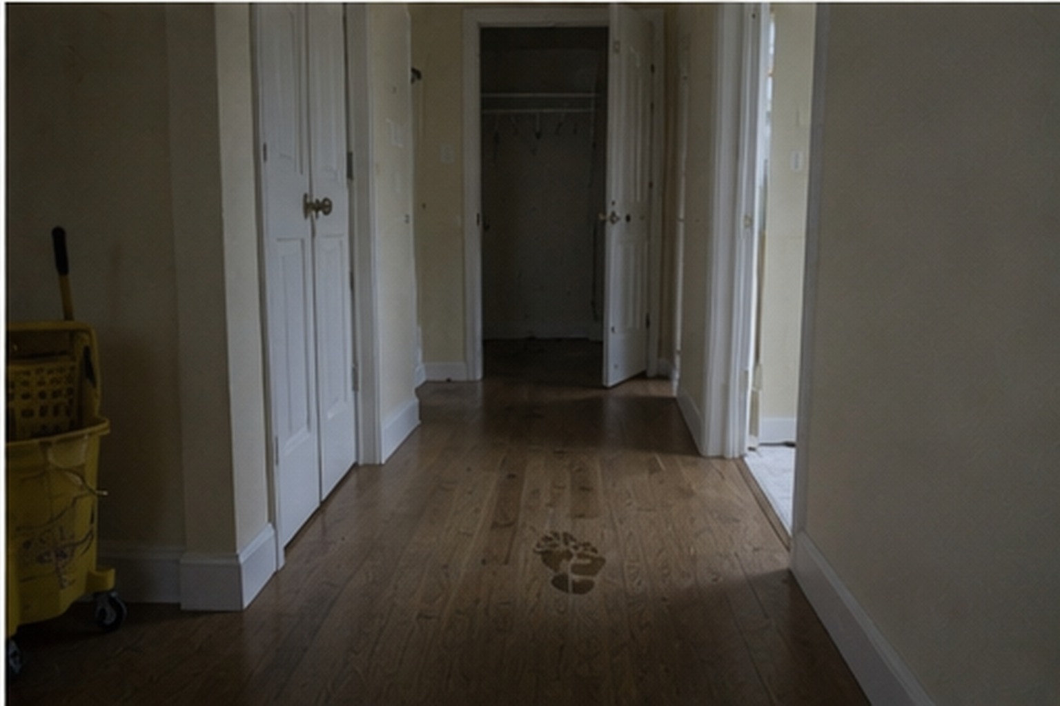 Faint damp print by an empty closet