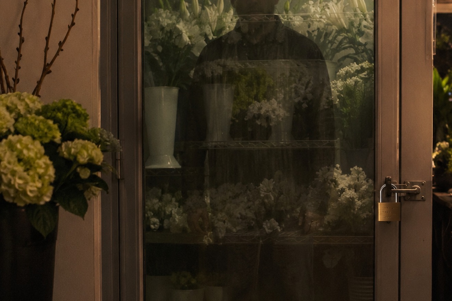 Editorial recreation of the I Saw A Translucent Man Standing Behind Closed Florist Cooler story, image 2.