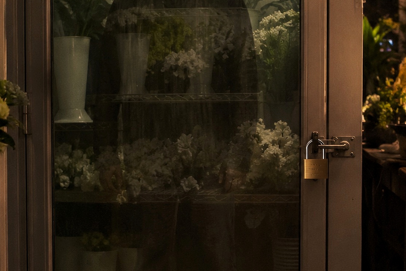 Editorial recreation of the I Saw A Translucent Man Standing Behind Closed Florist Cooler story, image 4.