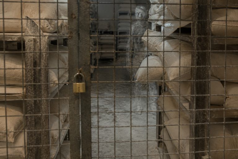 Editorial recreation of the I Saw A Woman Waiting Behind Locked Bakery Flour Racks story, image 1.