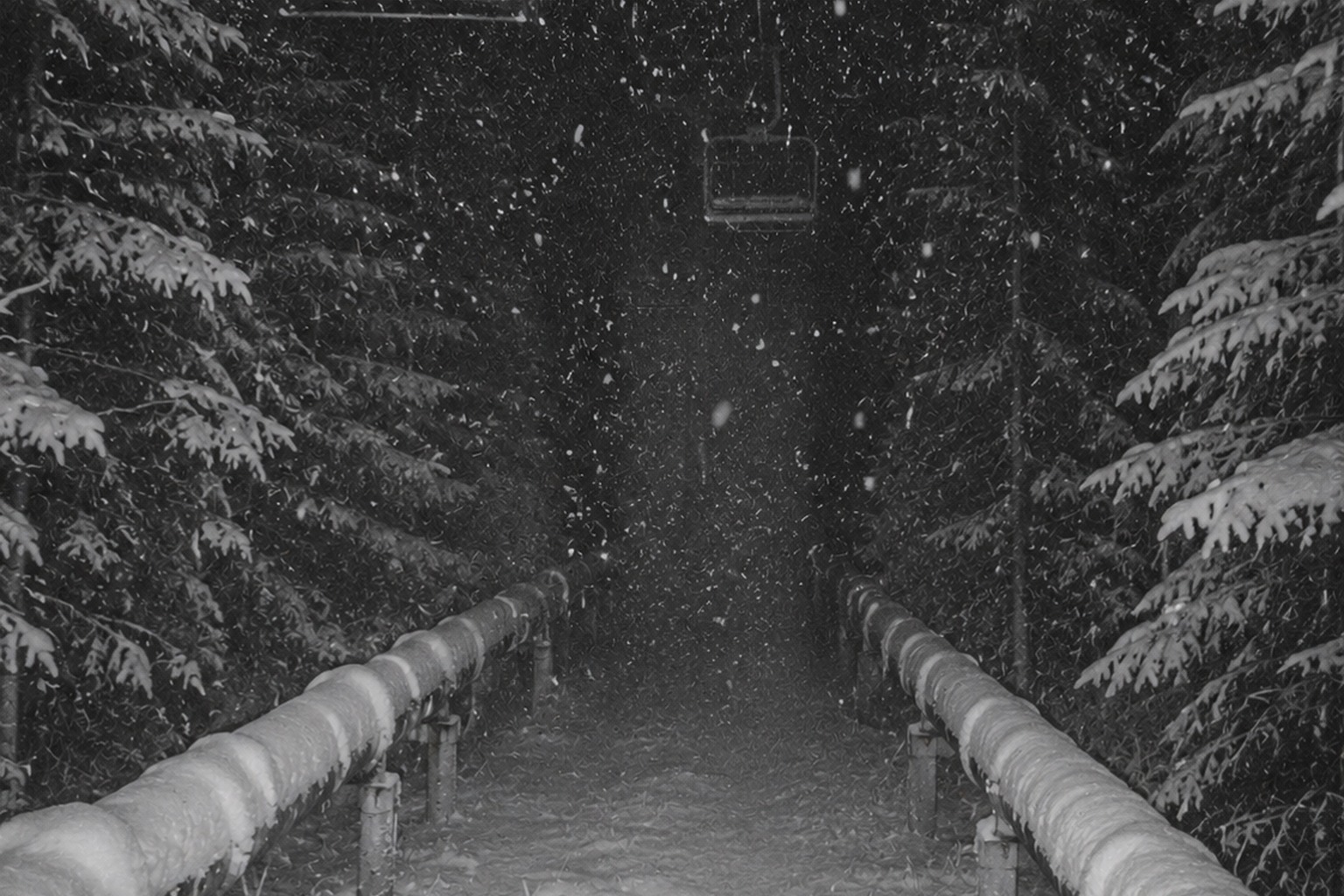 Editorial recreation of the Abandoned Ski Lift Trail Camera Showed A Massive Shape Between The Snowmaking Pipes story, image 3.