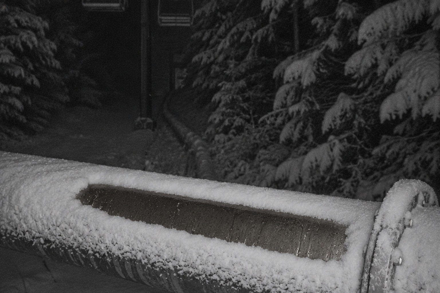 Editorial recreation of the Abandoned Ski Lift Trail Camera Showed A Massive Shape Between The Snowmaking Pipes story, image 4.