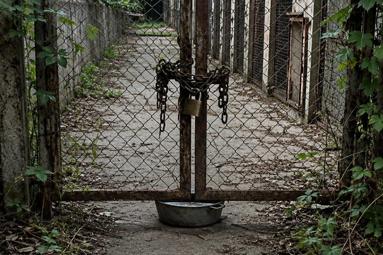Editorial recreation of the Abandoned Zoo Service Gate Photo Showed The Feed Bucket Sliding Back Under The Mesh story, image 1.