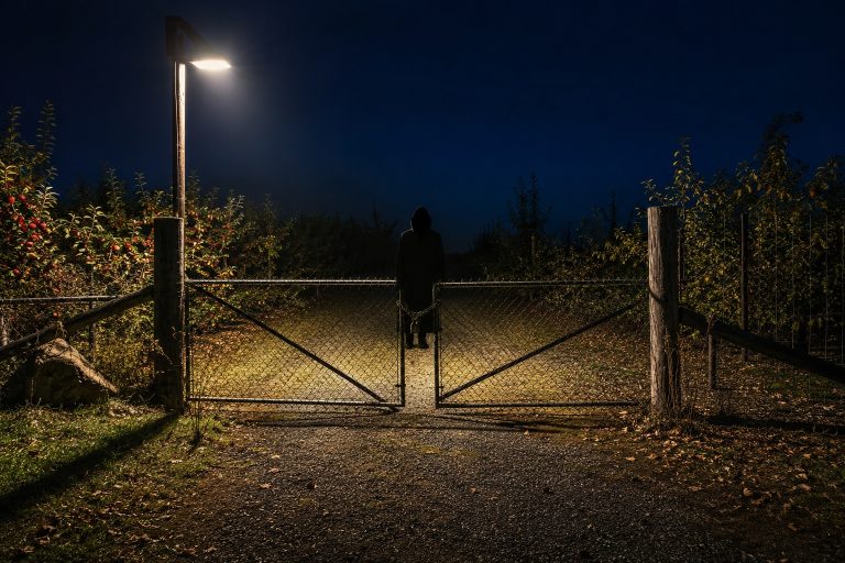 The Apple Orchard Gate Camera Showed A Tall Shape Where The Floodlight Cast No Shadow