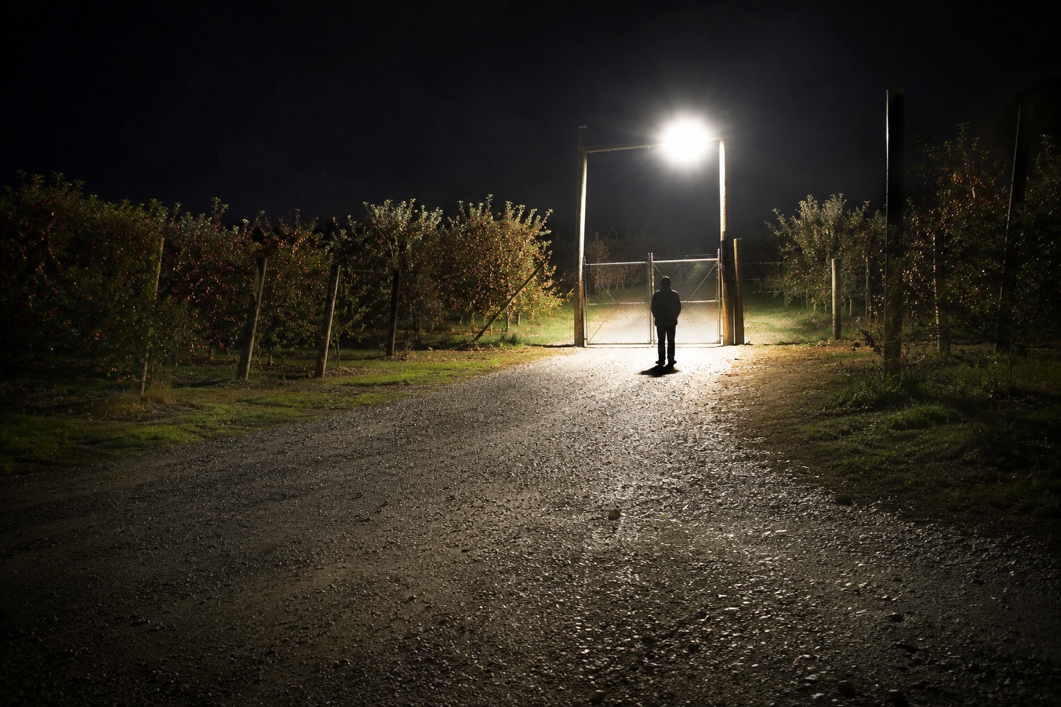 The Apple Orchard Gate Camera Showed A Tall Shape Where The Floodlight Cast No Shadow