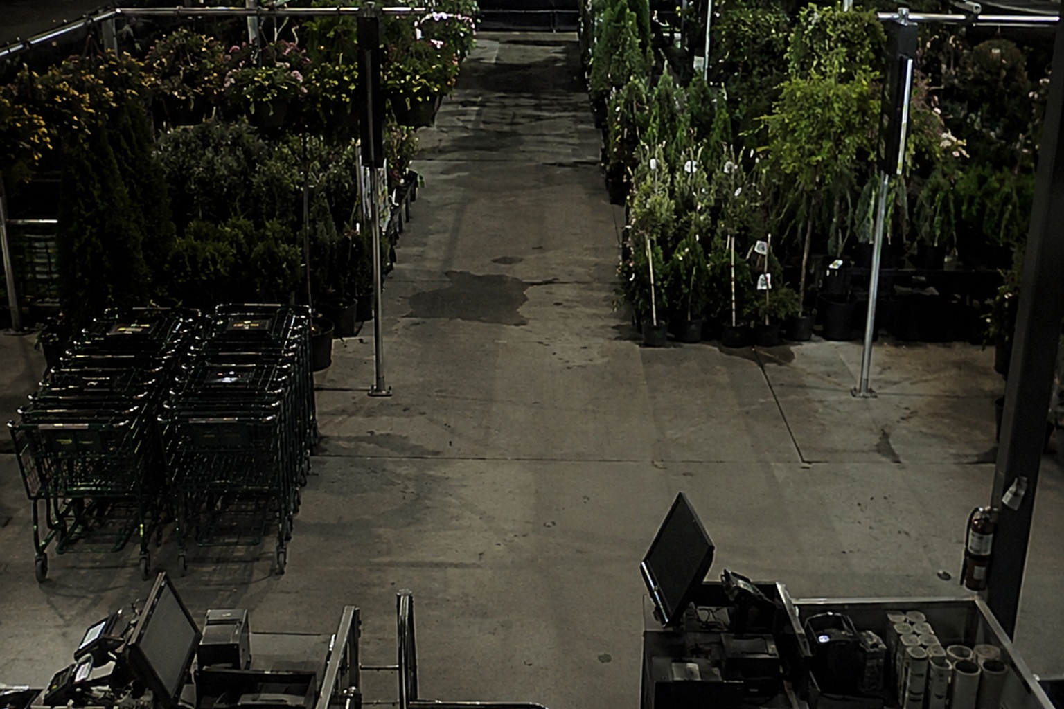 The Closed Garden Center Register Camera Saw A Massive Shape Behind The Shade Cloth - article image 1