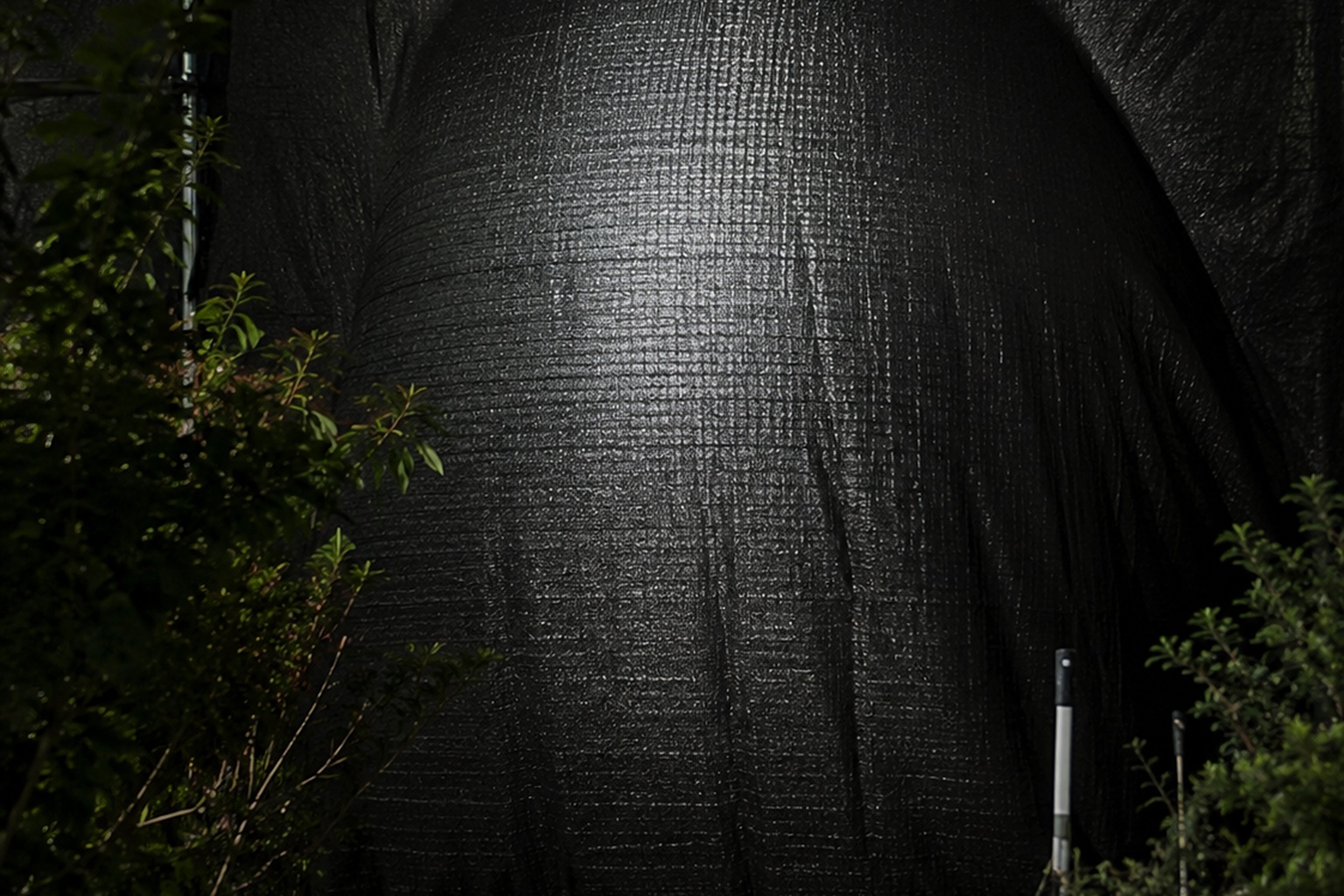 The Closed Garden Center Register Camera Saw A Massive Shape Behind The Shade Cloth - article image 3