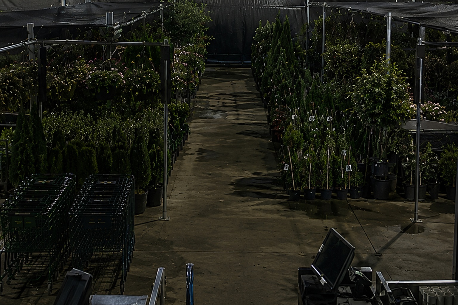 The Closed Garden Center Register Camera Saw A Massive Shape Behind The Shade Cloth - article image 4