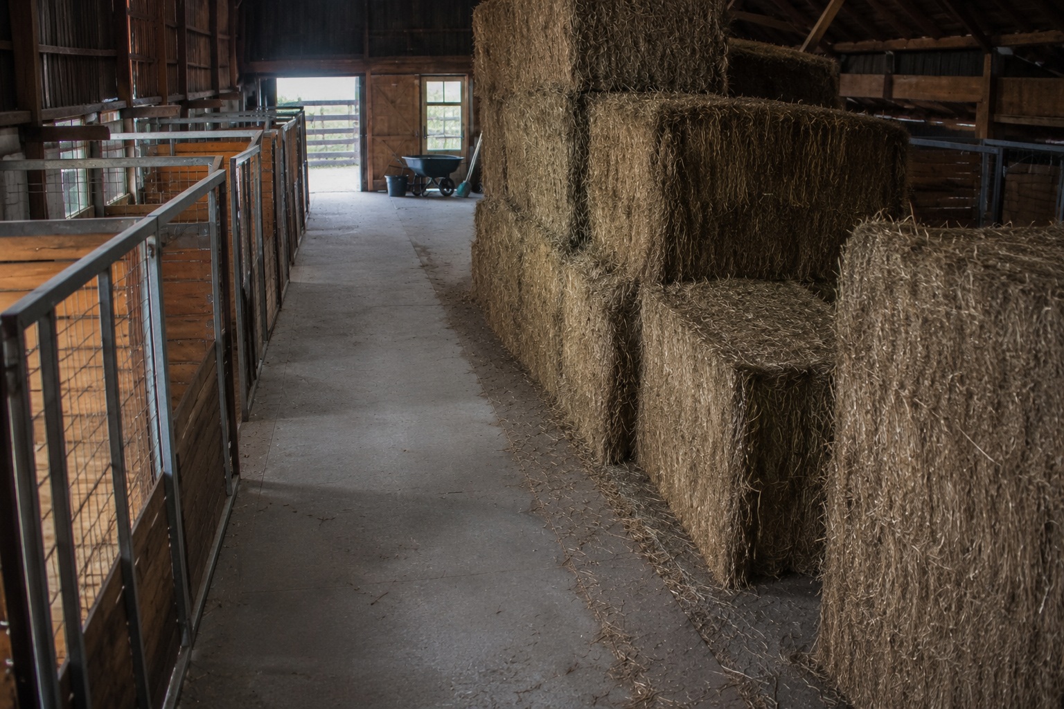 Editorial recreation of the Closed Petting Zoo Barn Camera Showed A Long-Limbed Thing Crawling Behind The Hay Bales story, image 2.