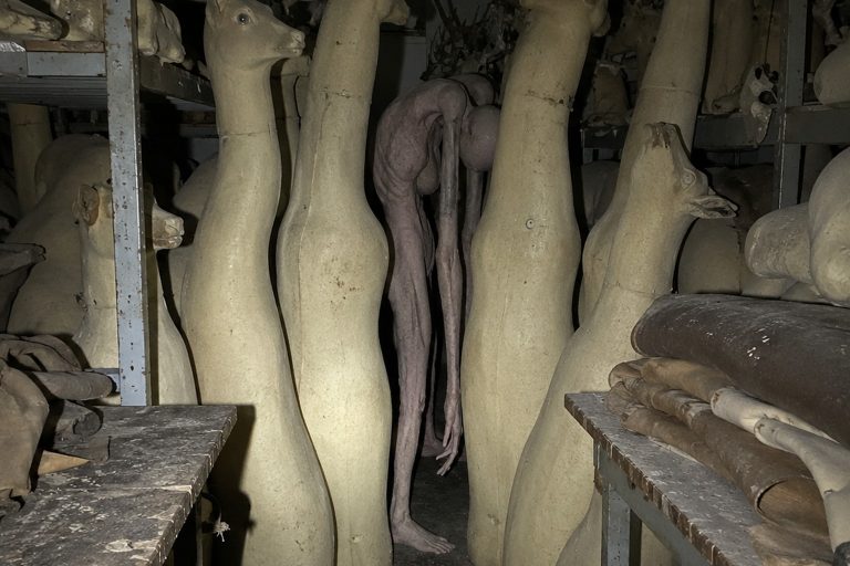 Editorial recreation of the Closed Taxidermy Shop Back Room Photo Showed A Hairless Crooked Thing Beside The Deer Forms story, image 1.
