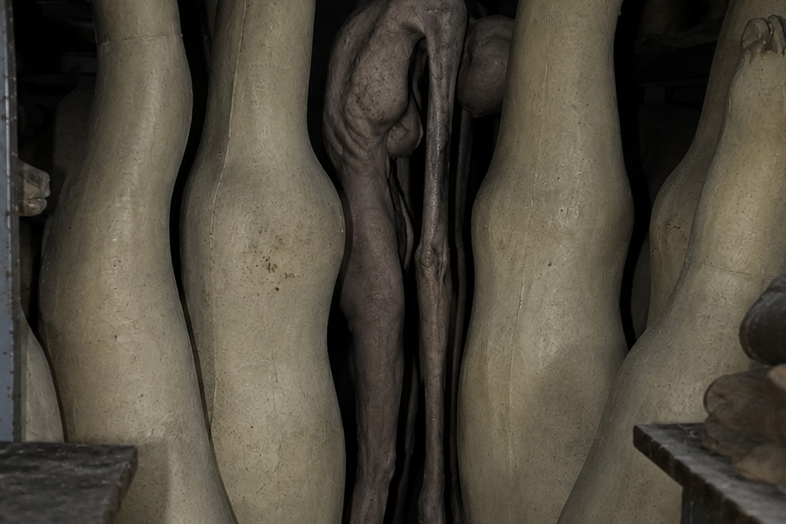 Editorial recreation of the Closed Taxidermy Shop Back Room Photo Showed A Hairless Crooked Thing Beside The Deer Forms story, image 4.