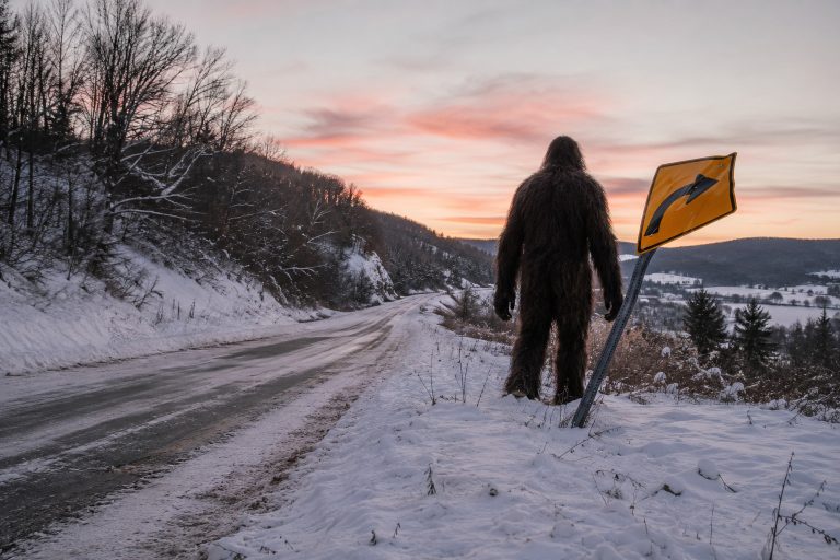 Editorial recreation of the County Snowplow Camera Caught Bigfoot Beside The Bent Road Sign At Dawn story, image 1.
