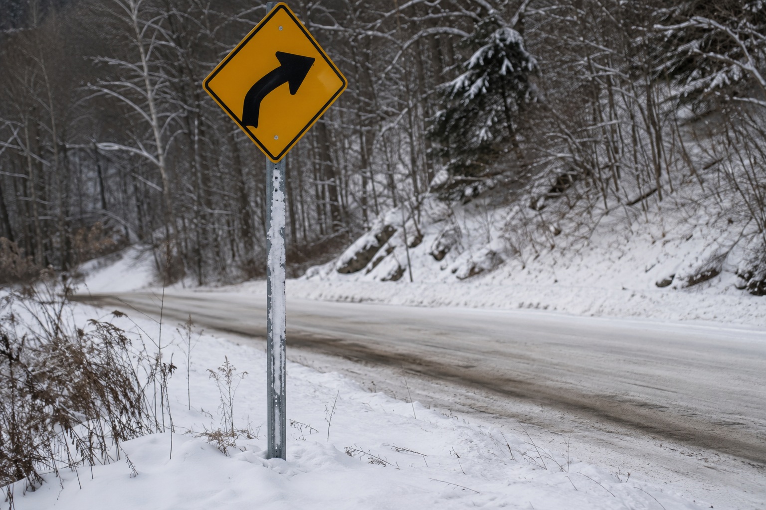 Editorial recreation of the County Snowplow Camera Caught Bigfoot Beside The Bent Road Sign At Dawn story, image 4.