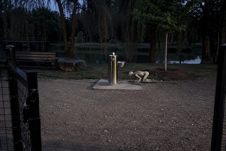 The Creekside Dog Park Gate Photo Showed A Hairless Crawling Thing Beside The Water Fountain - article image 1