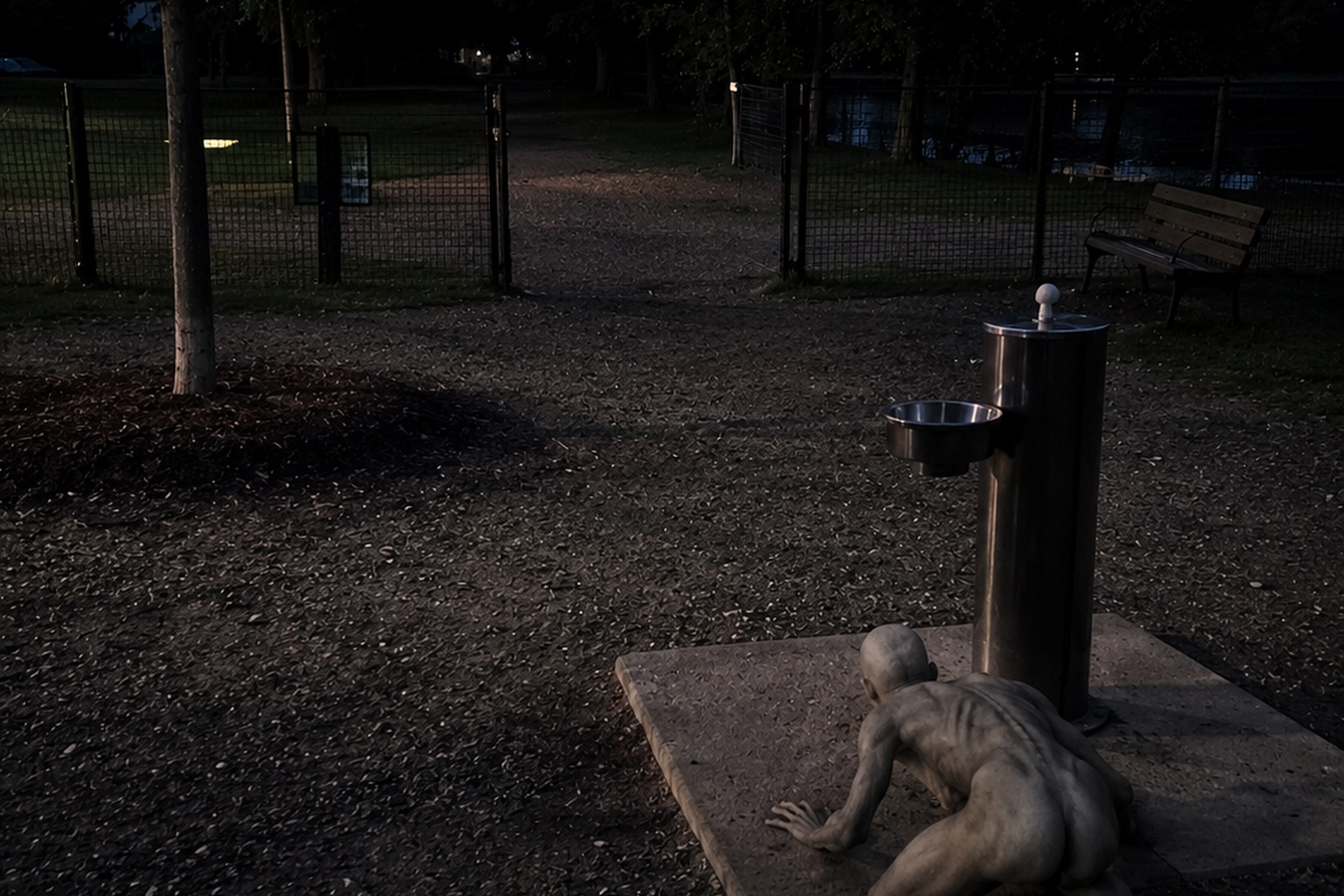 The Creekside Dog Park Gate Photo Showed A Hairless Crawling Thing Beside The Water Fountain - article image 3