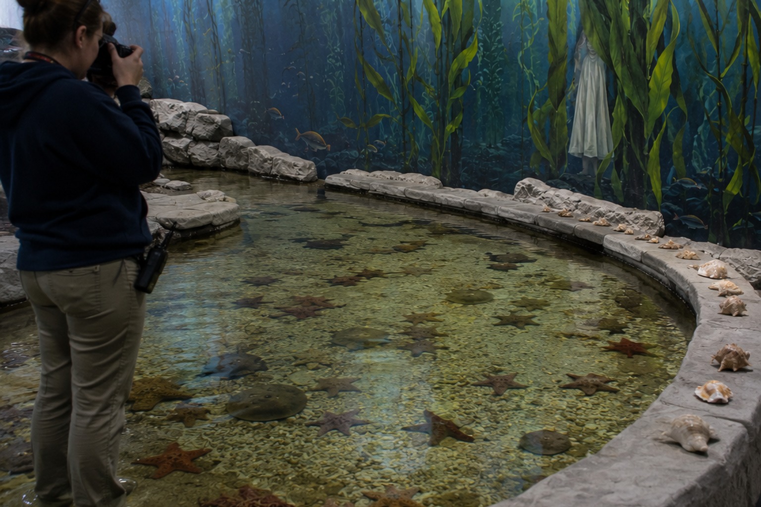 The Empty Aquarium Touch Tank Photo Showed A White Dress Behind The Kelp Mural reconstructed scene image 2